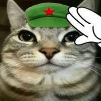 三斤于头像