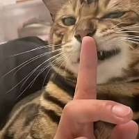 .无言.头像