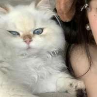 ****)头像