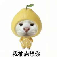 *****咕头像