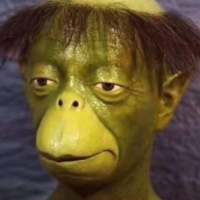 让我白一次头像