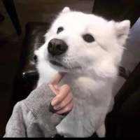 过儿。头像