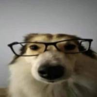 云s头像