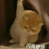 *婆头像