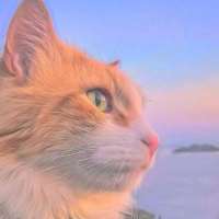 霖尤呀头像