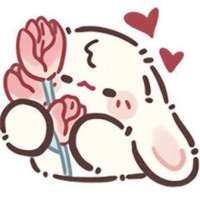 青稞🍰头像